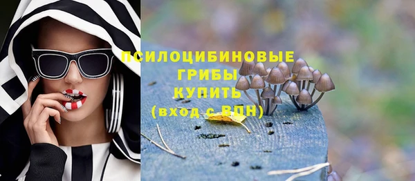 прущие крисы Армянск