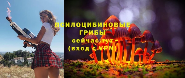 круглые Аркадак