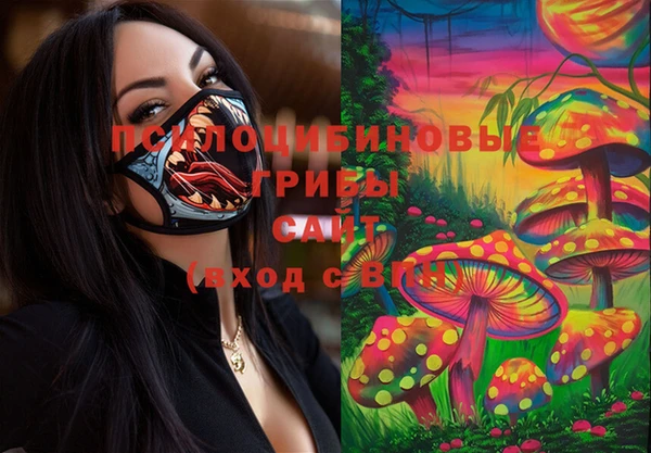 дурь Алексин